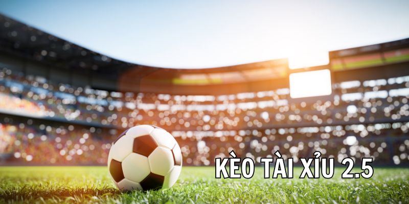 Kèo Tài Xỉu 2.5 Trái - Bí Quyết Soi Kèo Chắc Thắng Từ Chuyên Gia