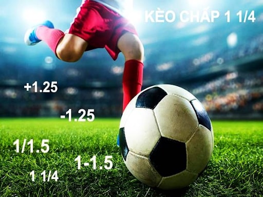 cách soi kèo bóng cỏ